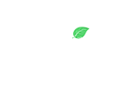 Daily系列