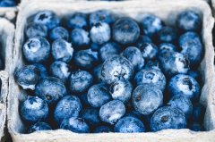蓝莓粉的作用与功效(蓝莓粉的食用方法和禁忌有哪些)