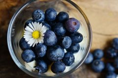 蓝莓粉怎么吃比较好吃(蓝莓粉的食用方法用量讲解)