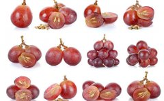 什么是葡萄籽提取物(葡萄籽中含有哪些重要的提取物)