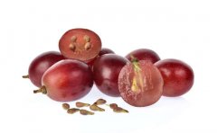 葡萄籽精华的副作用大吗?有哪些?葡萄籽精华的用法?